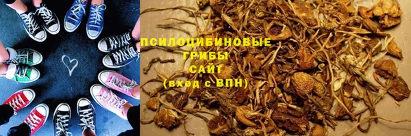 a pvp Заволжск