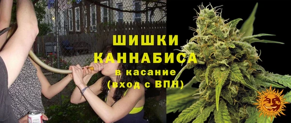 трава Заводоуковск